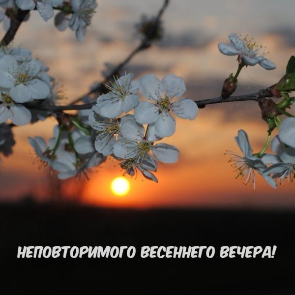 Девушка радость лето