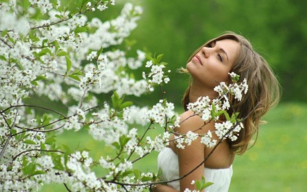 Поле цветов