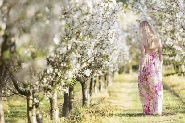 Влюбленные и сирень