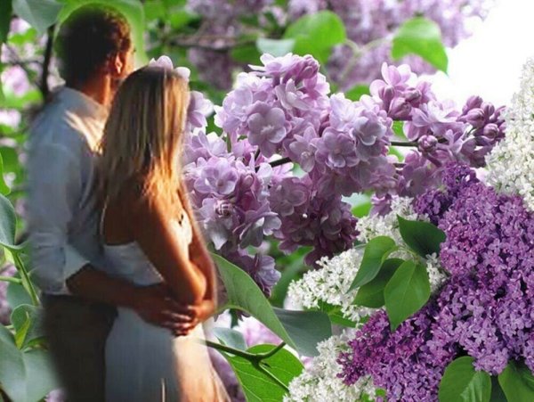 Женщина лето