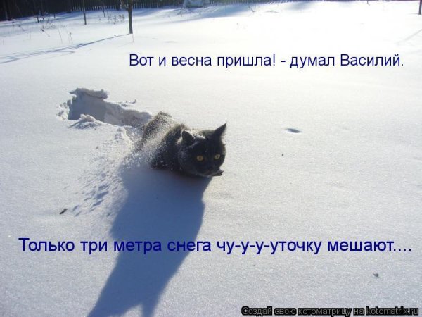 Опять снег