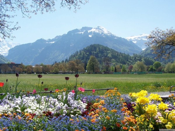 Альпийские Луга Лихтенштейн