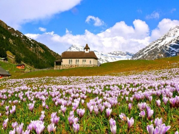 Альпийские Луга Швейцария