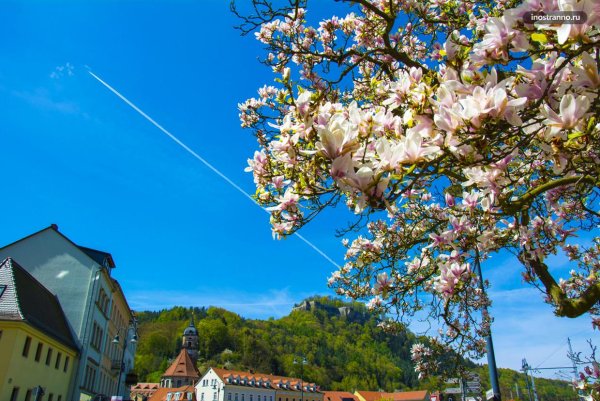 Весна в Швейцарии