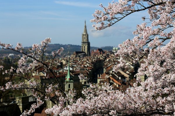 Цветущий Сьон, Швейцария