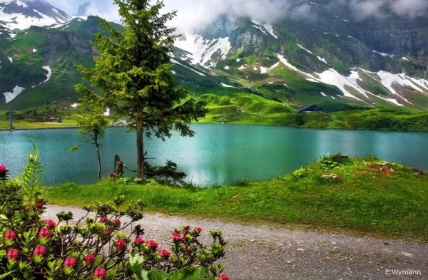 Озеро Зееальп, Швейцария