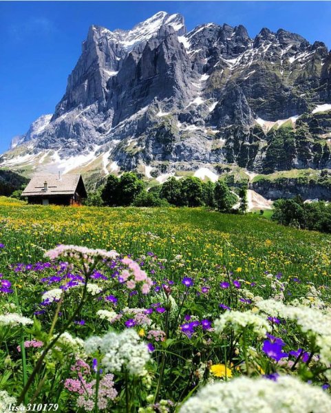 Альпийские горы в Швейцарии
