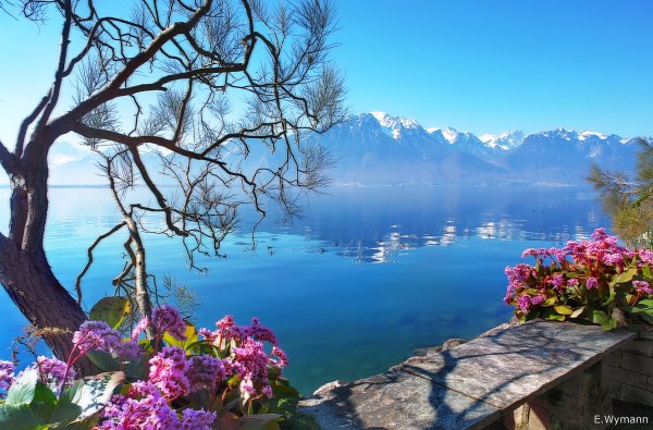 Женевское озеро Швейцария Весна