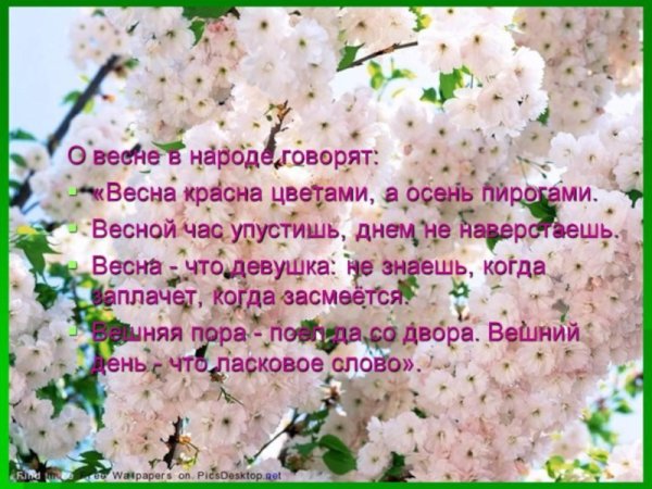 Презентация на тему Весна