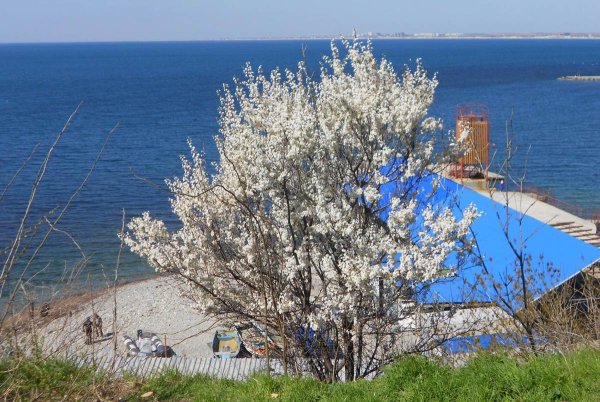 Весна в Витязево