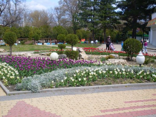 Анапа весной