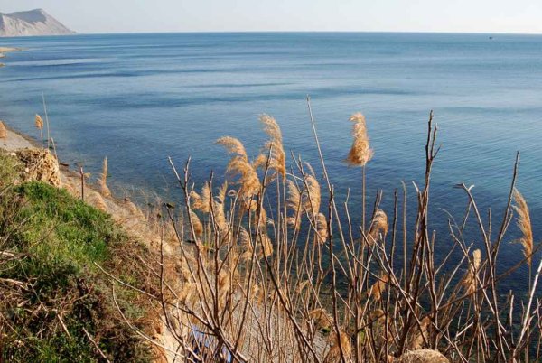 Цветники Анапа