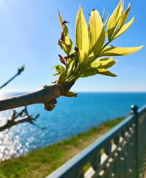 Весенняя Анапа