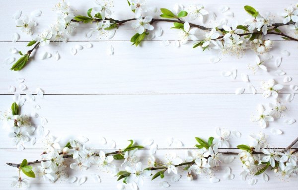 Красивый весенний фон для текста