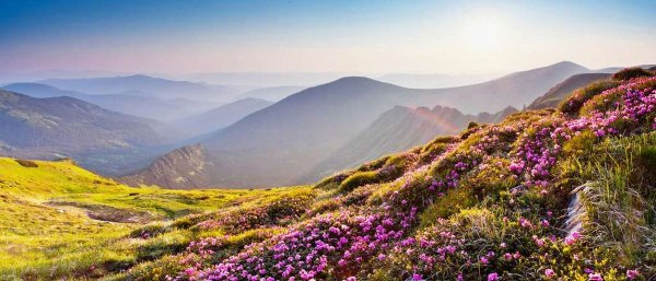 Панорама природа