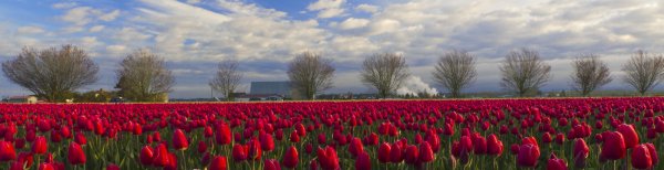 Весна горы озеро