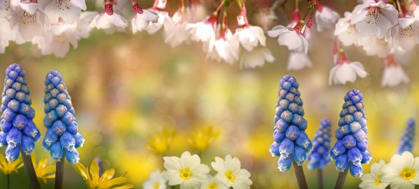 Фото Весна природа