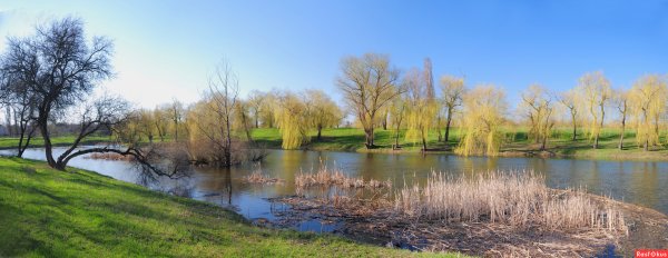 Весенний пейзаж панорама