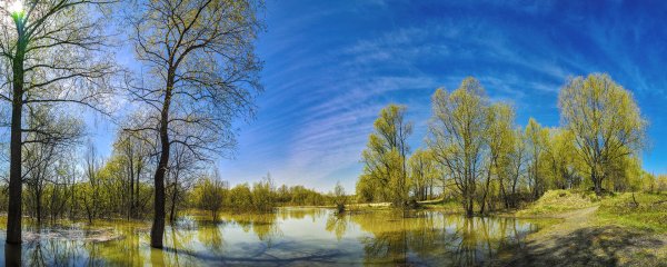 Природа горы цветы панорама