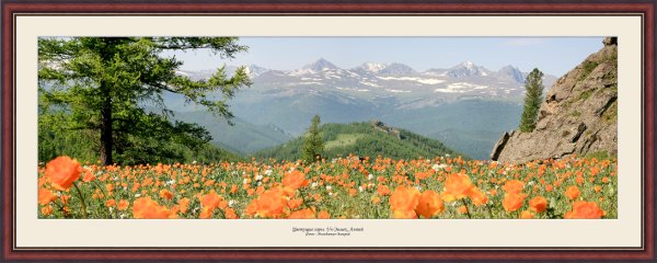 Весенний лес панорама