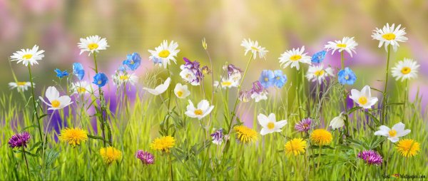 Майский пейзаж