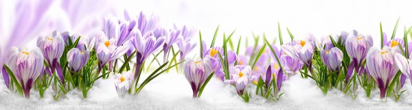 Красочное лето