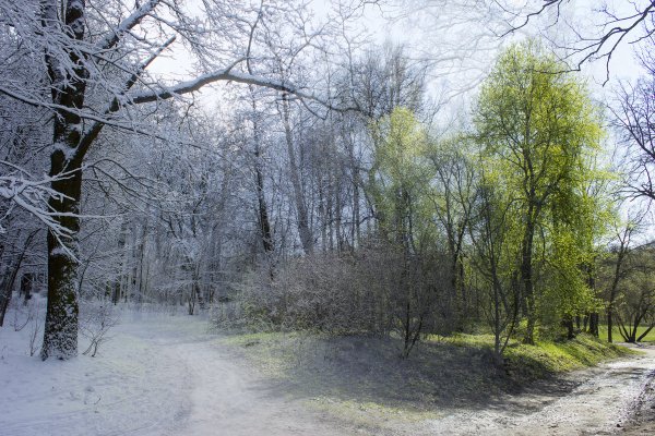 Зима переходящая в весну