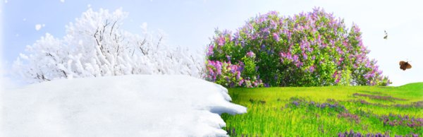 Осень переходящая в зиму