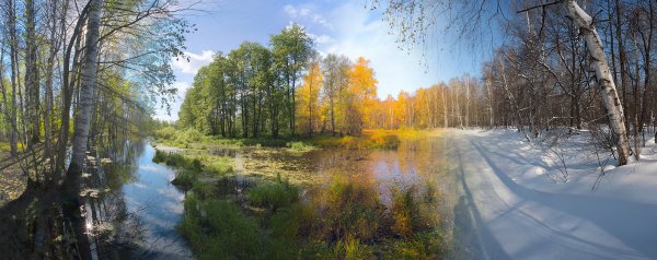 Весна среди зимы