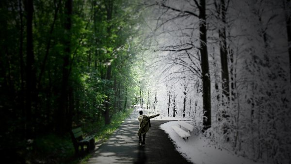 Зима лето