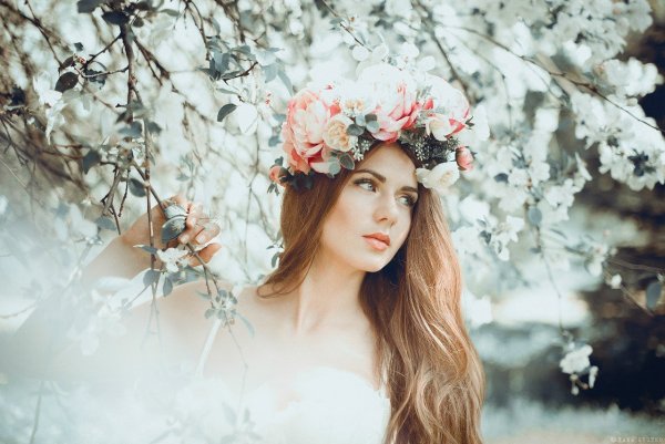 Силуэт девушки на фоне цветов