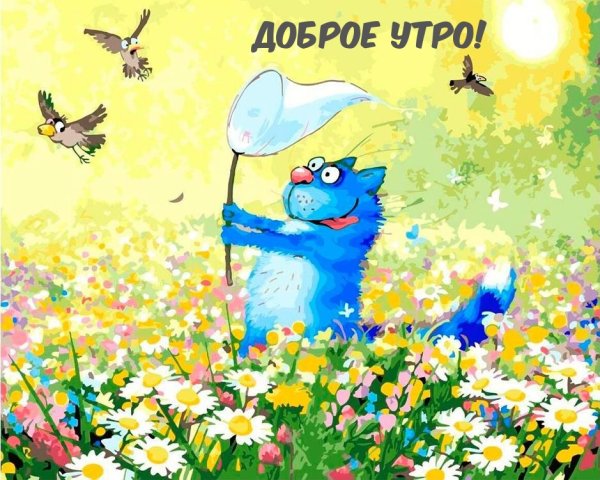 Синие коты счастья Ирины Зенюк