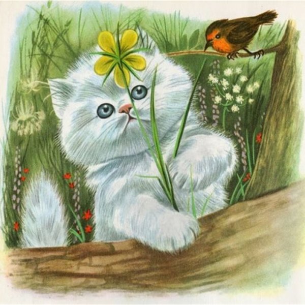 Солнечного дня котик