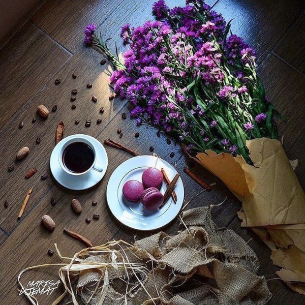 Цветы уют утро