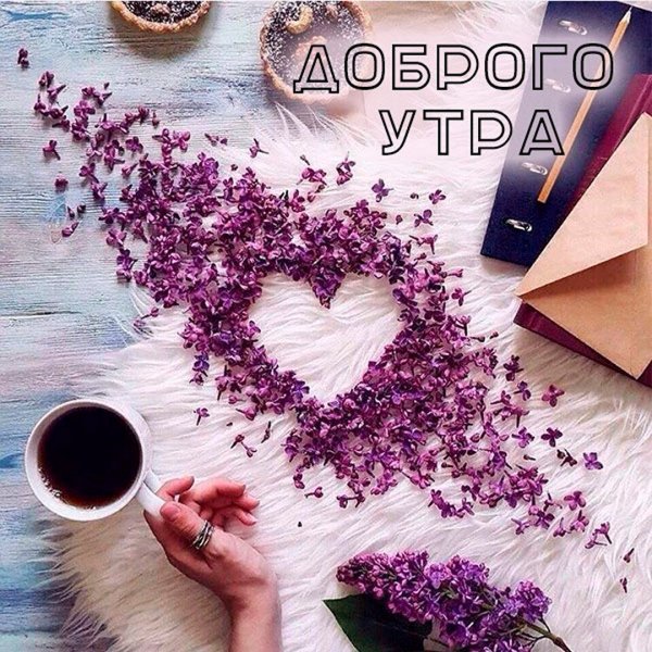 Книга кофе цветы