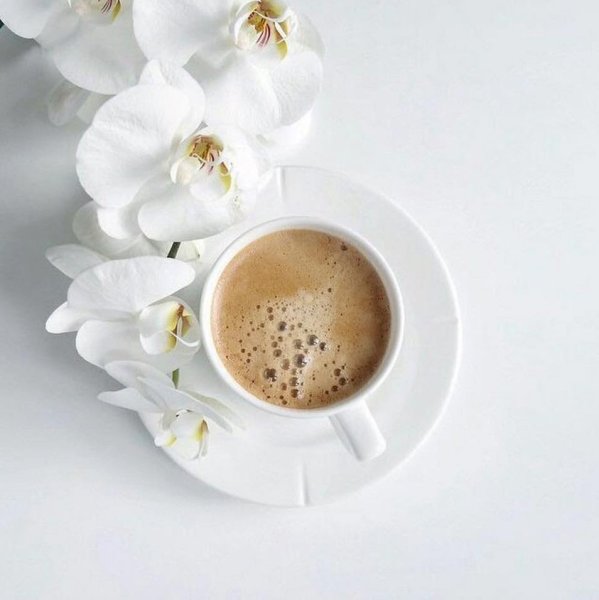 Лаванда Lavender aesthetic