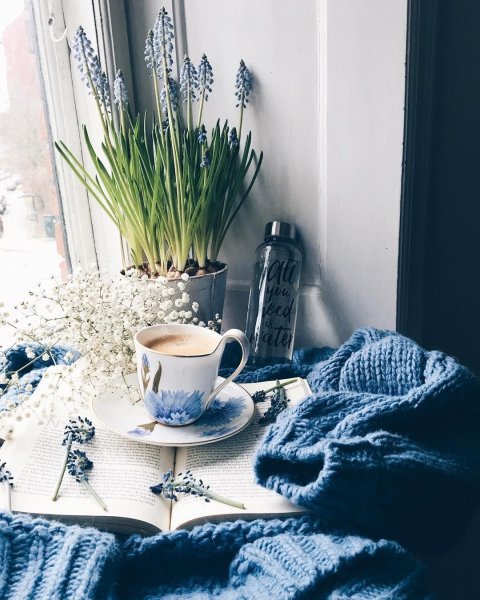 Доброе утро летние стильные