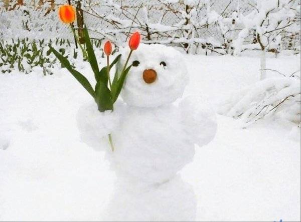 Снеговик весной
