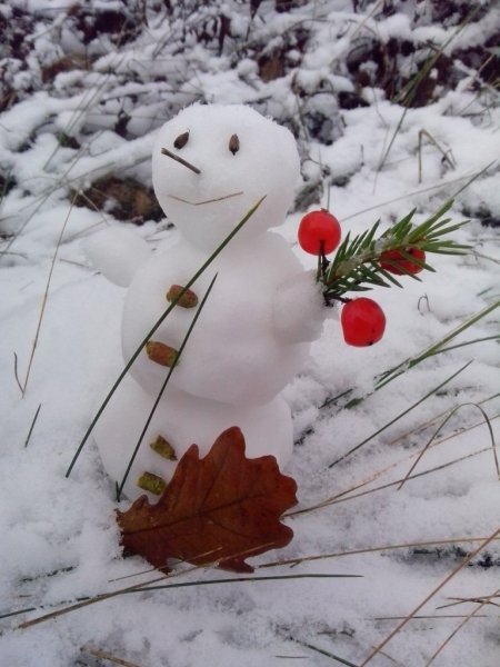 Осенний Снеговик