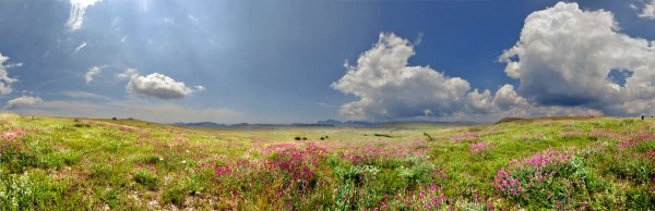 Степь Крым панорама