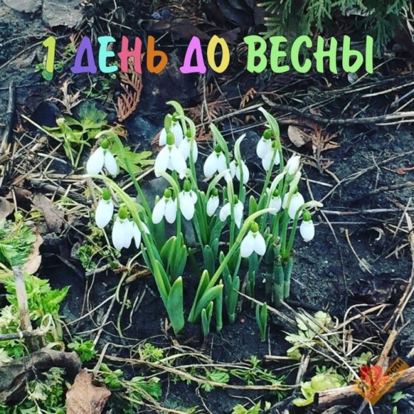 С первым днём весны открытки красивые