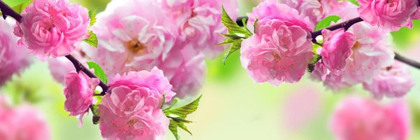 Природа острова Хоккайдо