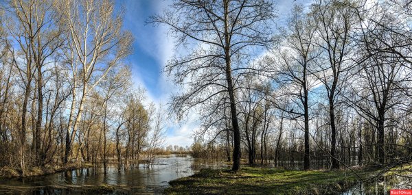 Весна природа