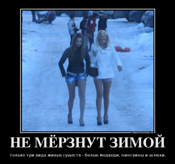 Тающий Снеговик