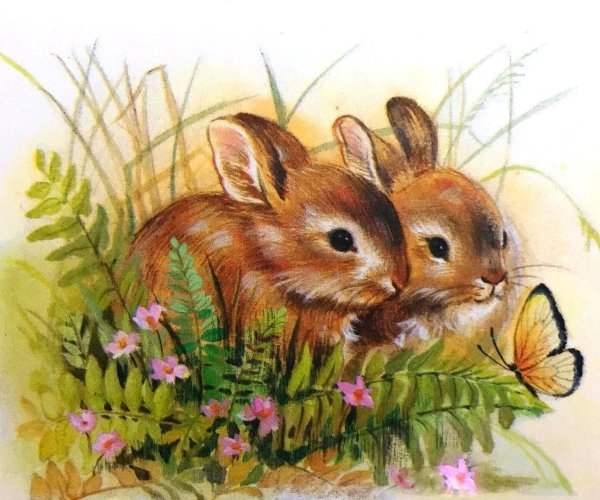 Зайчик на полянке