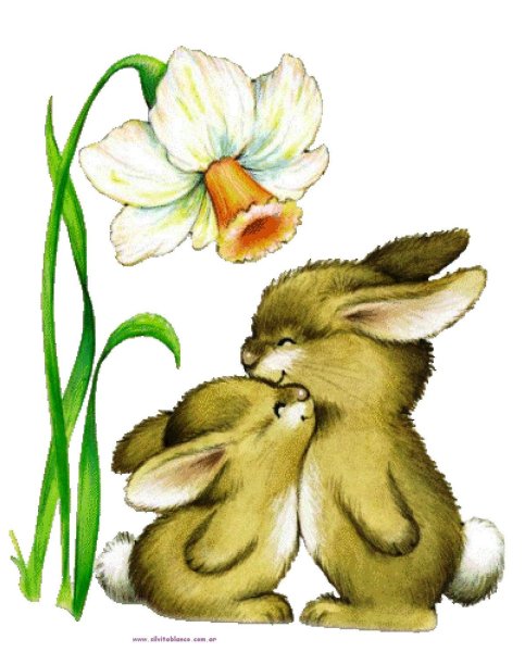 Зайцы в сказках