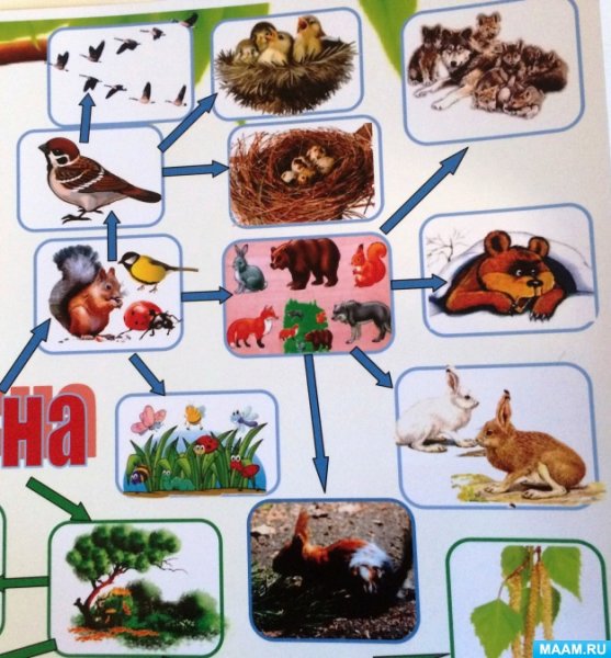 Метод ментальные карты Тони Бьюзен