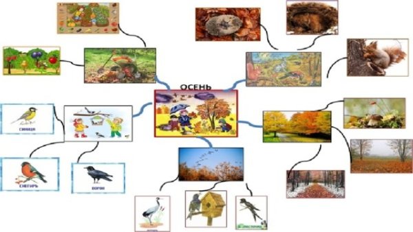 Интеллект карта в детском саду