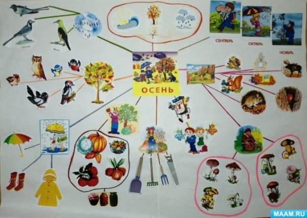 Ментальная карта познание