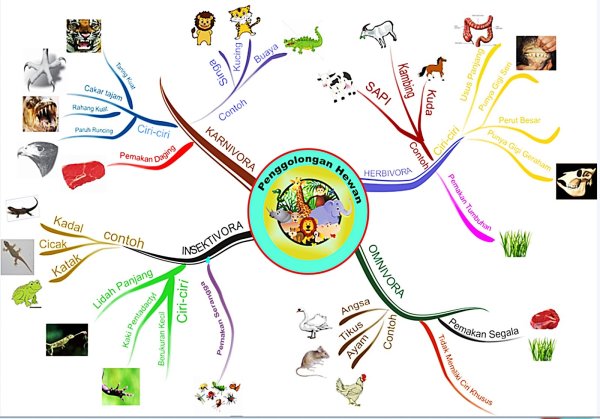 Интеллект карта в детском саду